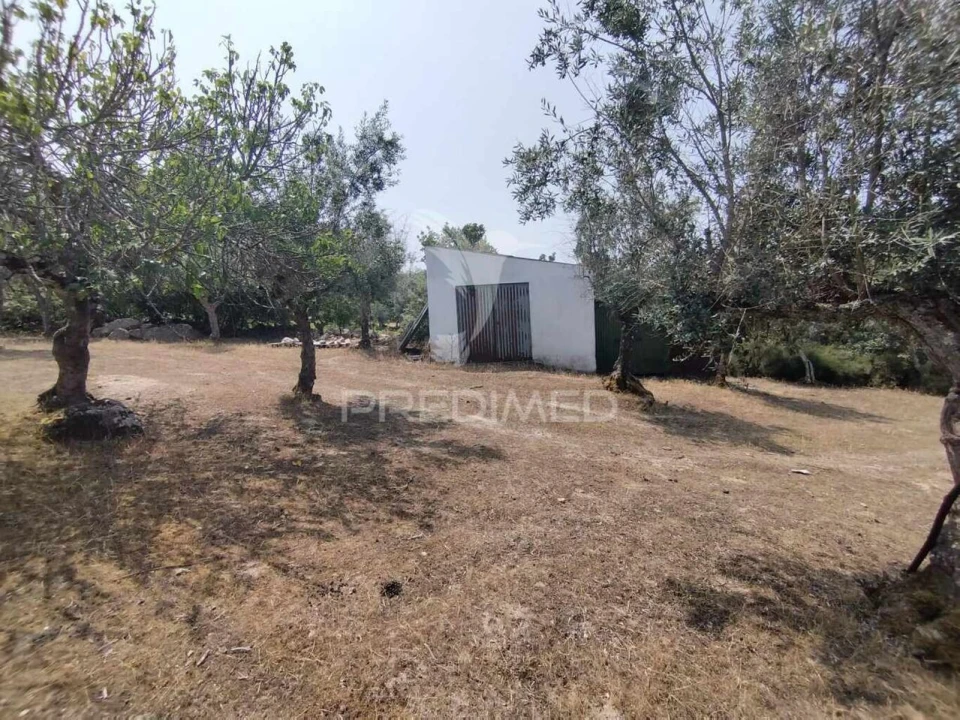 Terreno para Venda em Santa Maria da Devesa Foto 5