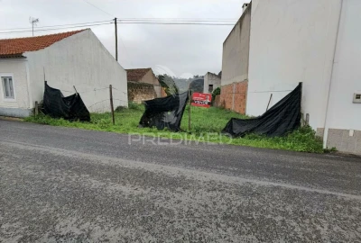 Terreno para Venda em Arneiro das Milhariças