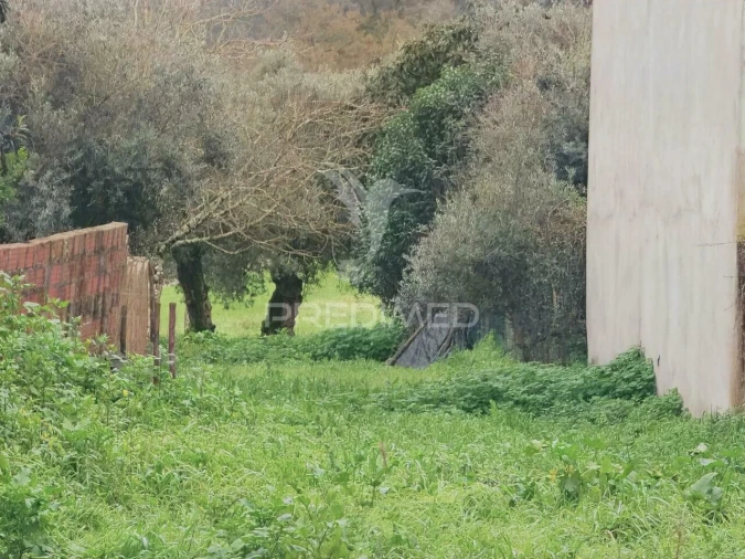 Terreno para Venda em Arneiro das Milhariças Foto 15