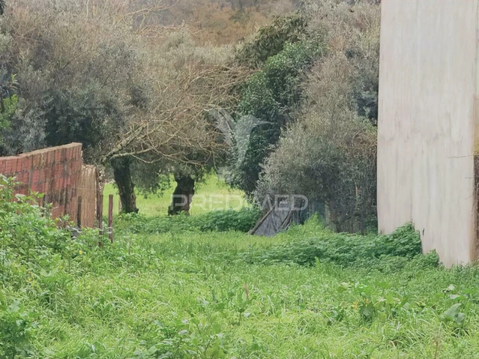 Terreno para Venda em Arneiro das Milhariças Foto 15