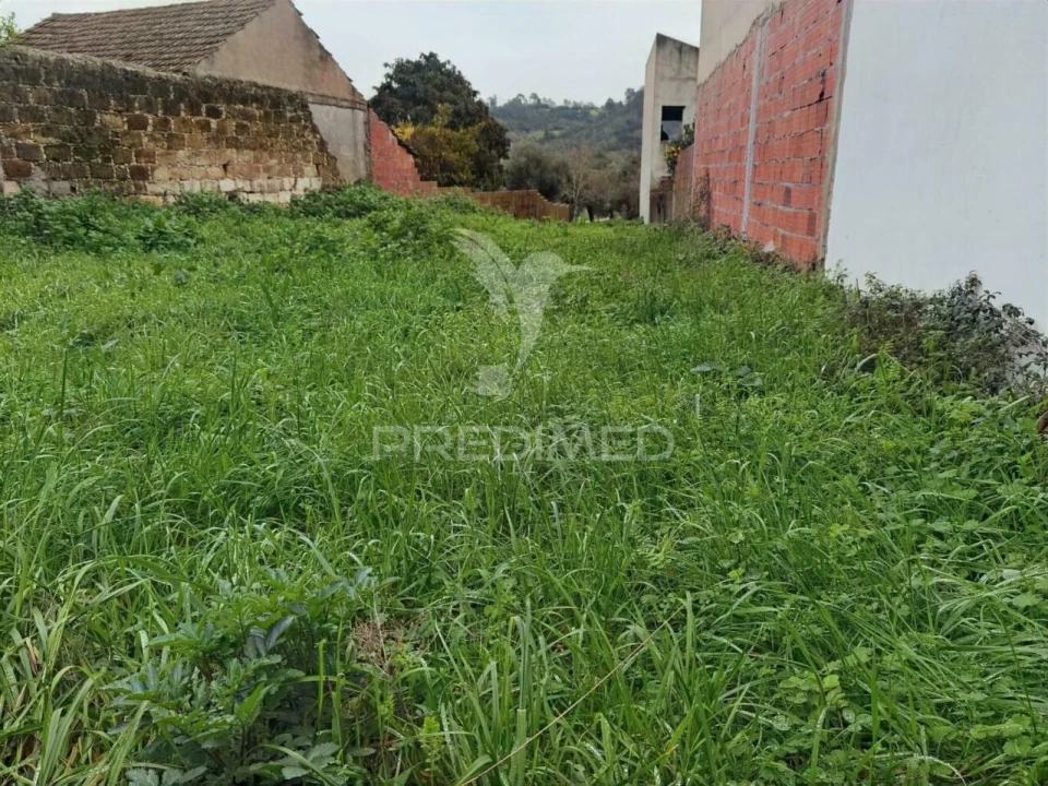 Terreno para Venda em Arneiro das Milhariças Foto 14