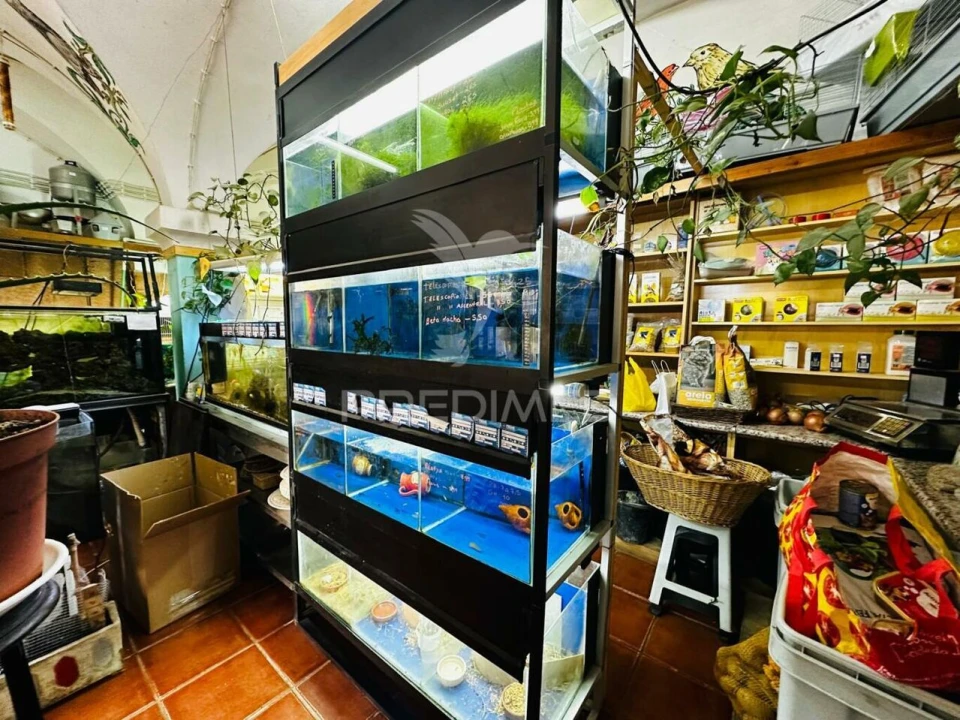 Loja para Arrendamento em Caia, São Pedro e Alcáçova Foto 22