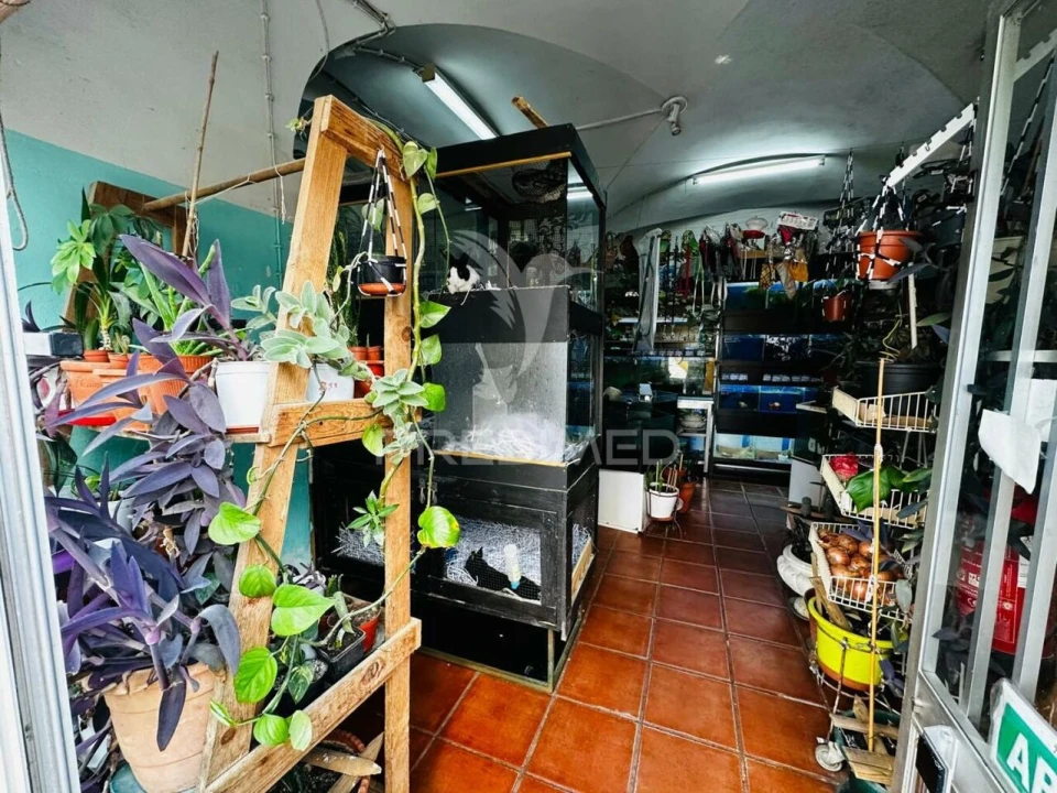 Loja para Arrendamento em Caia, São Pedro e Alcáçova Foto 6