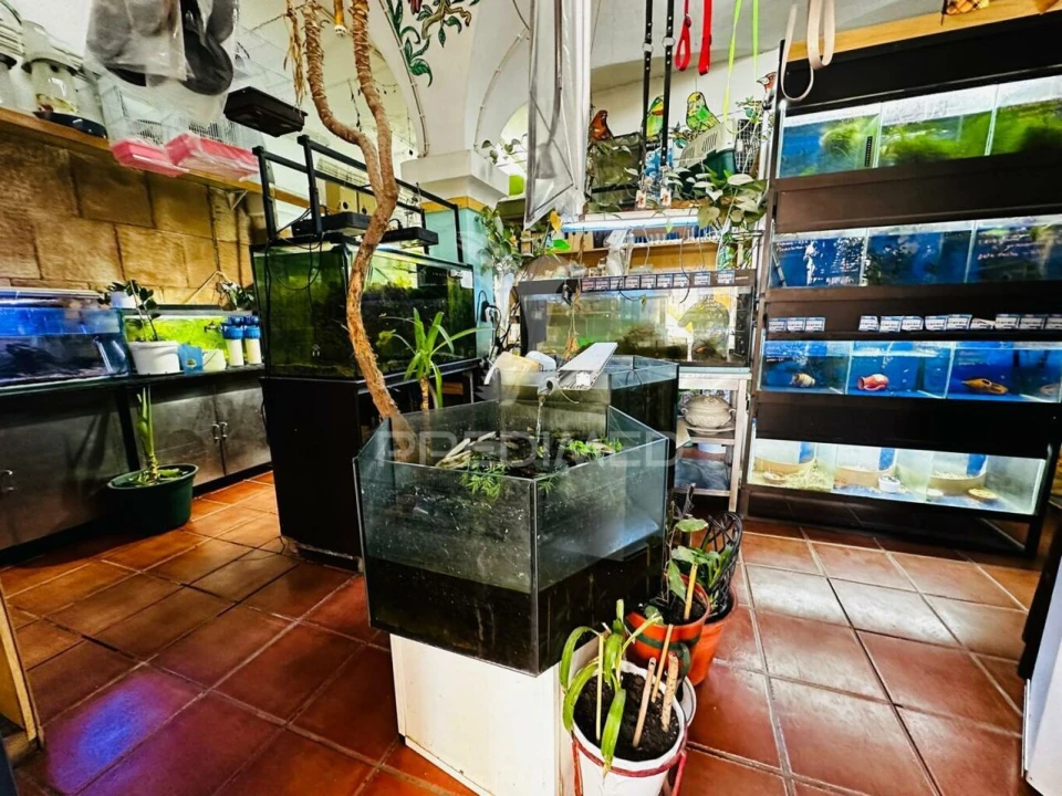 Loja para Arrendamento em Caia, São Pedro e Alcáçova Foto 10