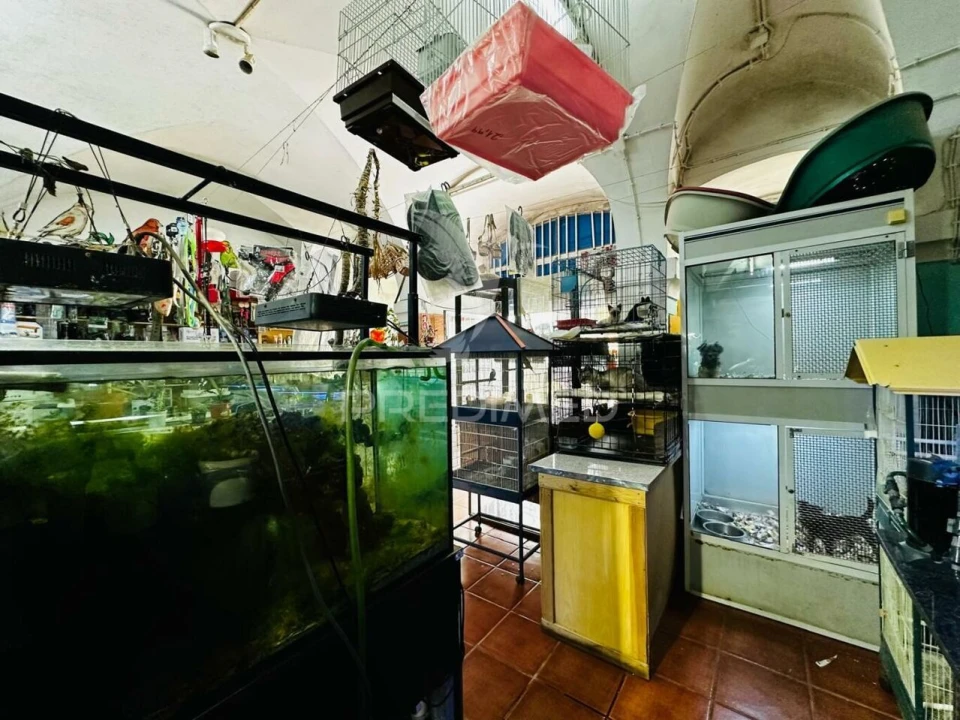 Loja para Arrendamento em Caia, São Pedro e Alcáçova Foto 17