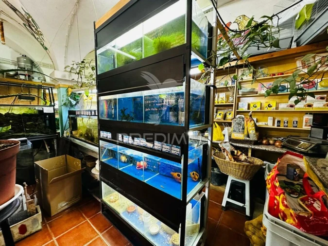 Loja para Arrendamento em Caia, São Pedro e Alcáçova Foto 5