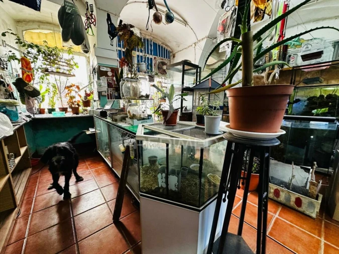 Loja para Arrendamento em Caia, São Pedro e Alcáçova Foto 9