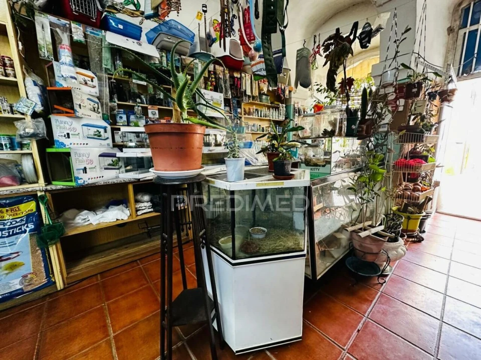 Loja para Arrendamento em Caia, São Pedro e Alcáçova Foto 12