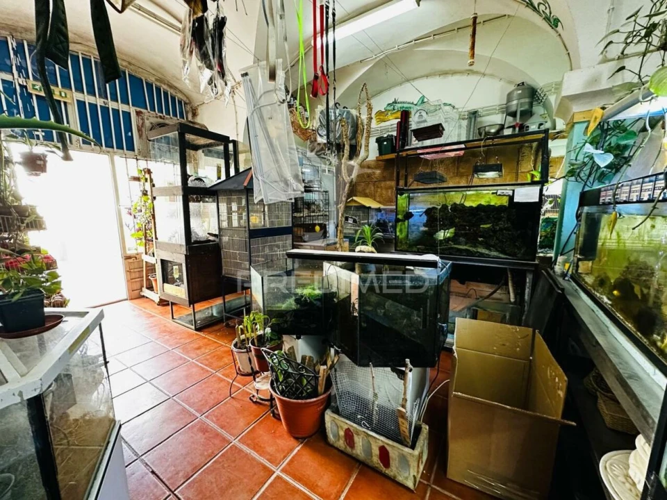 Loja para Arrendamento em Caia, São Pedro e Alcáçova Foto 4