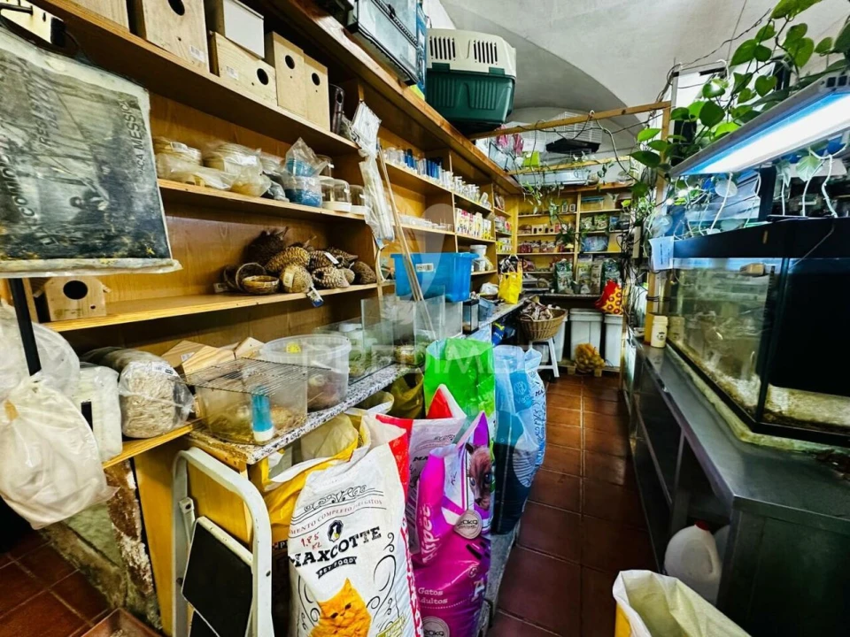 Loja para Arrendamento em Caia, São Pedro e Alcáçova Foto 19