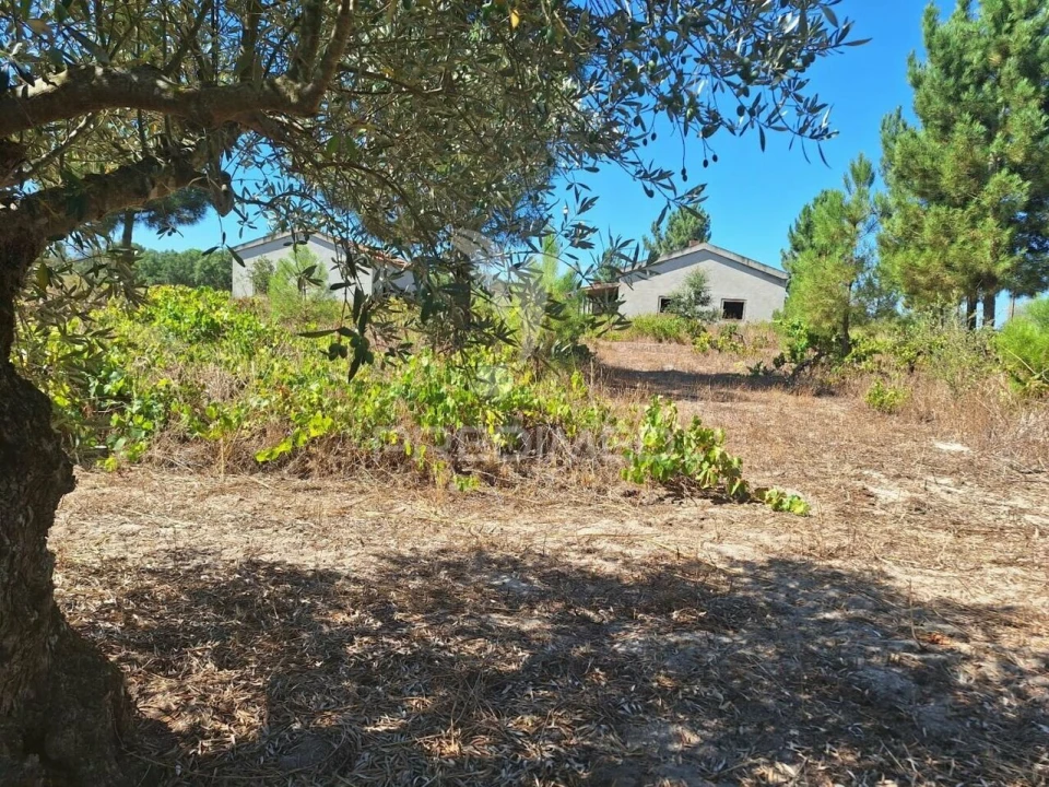 Terreno para Venda em Vale de Santarem Foto 14