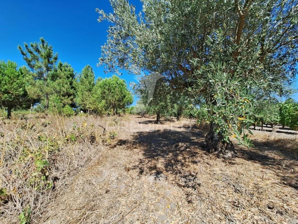 Terreno para Venda em Vale de Santarem Foto 12