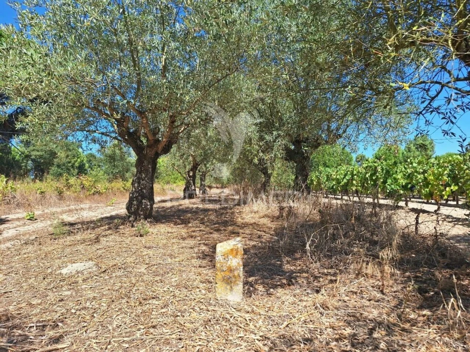Terreno para Venda em Vale de Santarem Foto 13