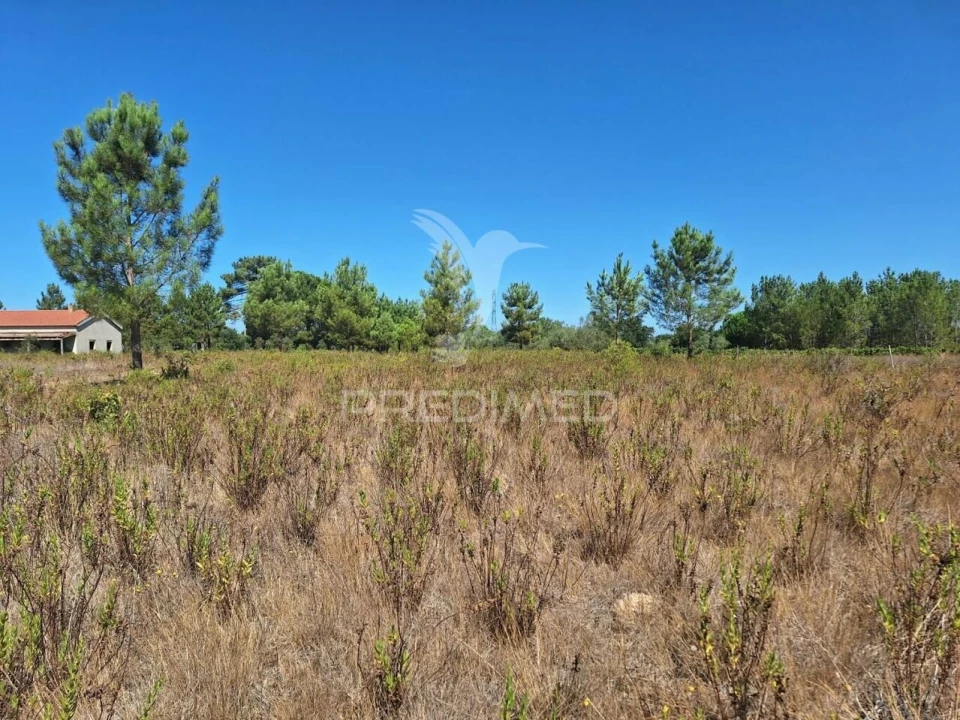 Terreno para Venda em Vale de Santarem Foto 8