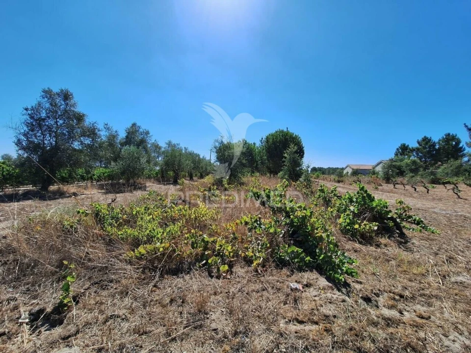 Terreno para Venda em Vale de Santarem Foto 4
