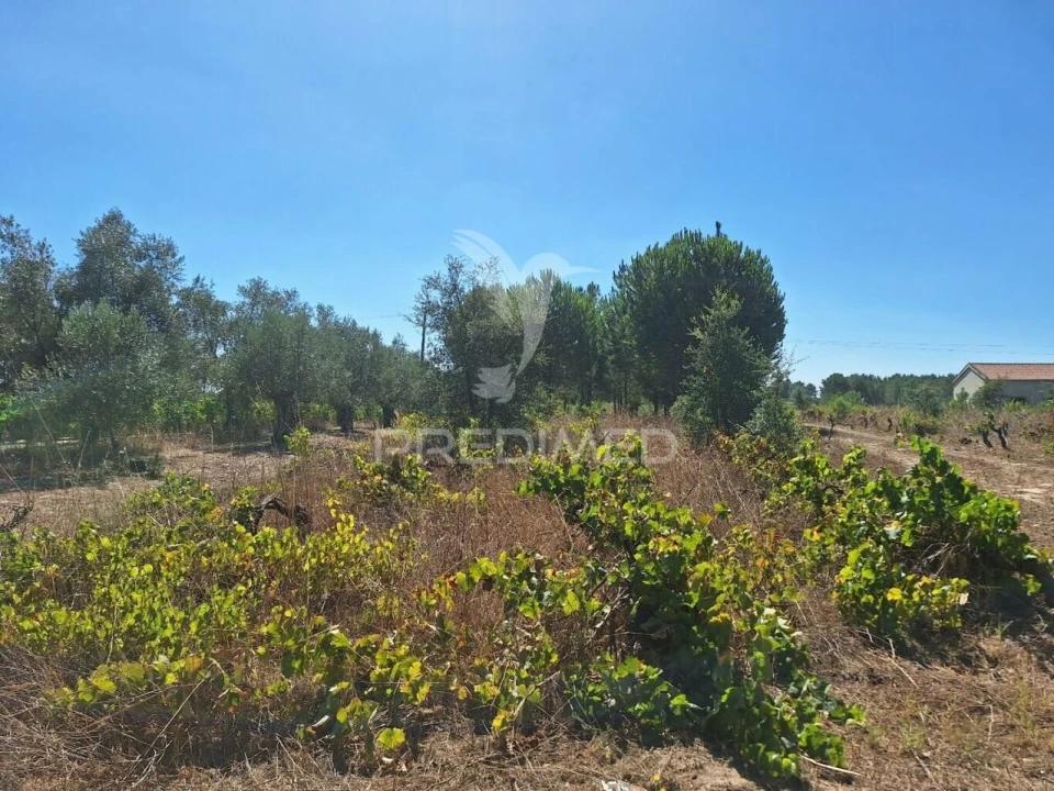 Terreno para Venda em Vale de Santarem Foto 6