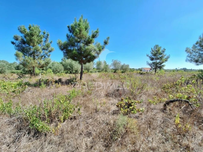 Terreno para Venda em Vale de Santarem Foto 2