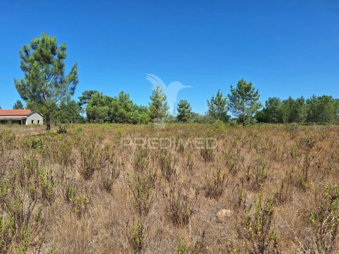 Terreno para Venda em Vale de Santarem Foto 8