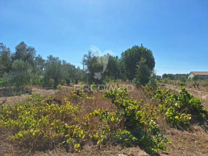 Terreno para Venda em Vale de Santarem Foto 6