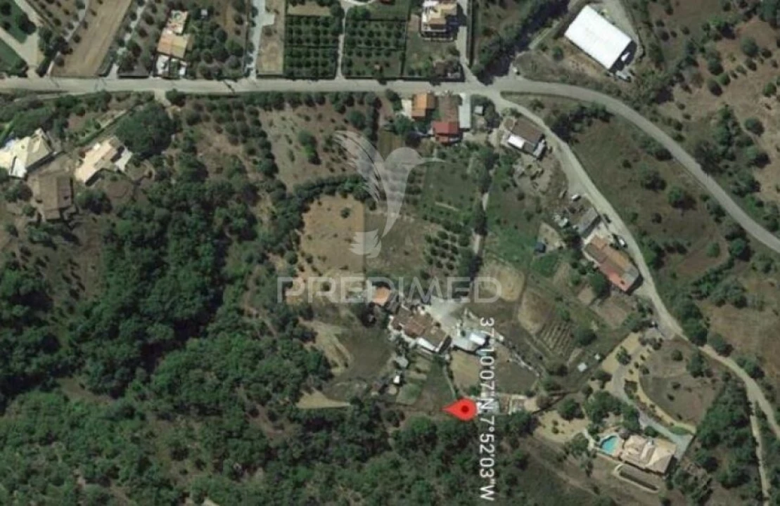 Terreno para Venda em São Brás de Alportel Foto 4