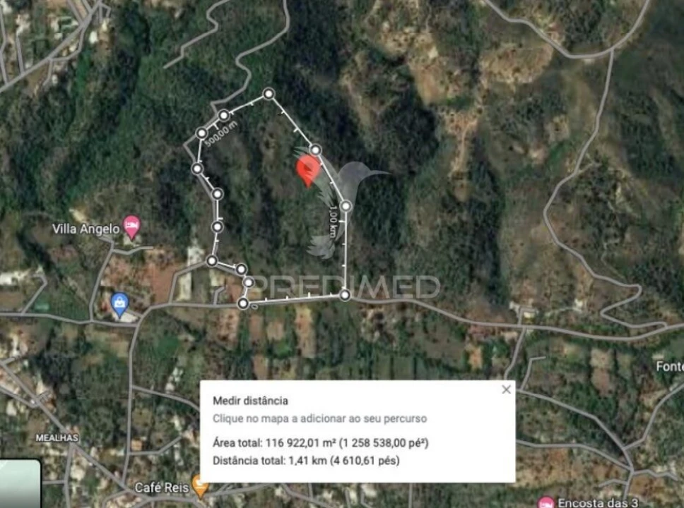 Terreno para Venda em São Brás de Alportel Foto 3