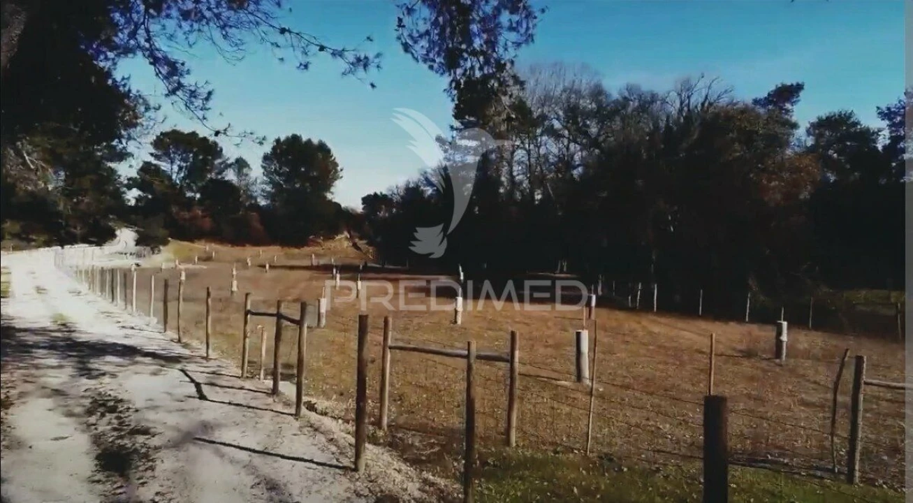 Quinta T2 para Venda em Achete, Azoia de Baixo e Póvoa de Santarém Foto 39