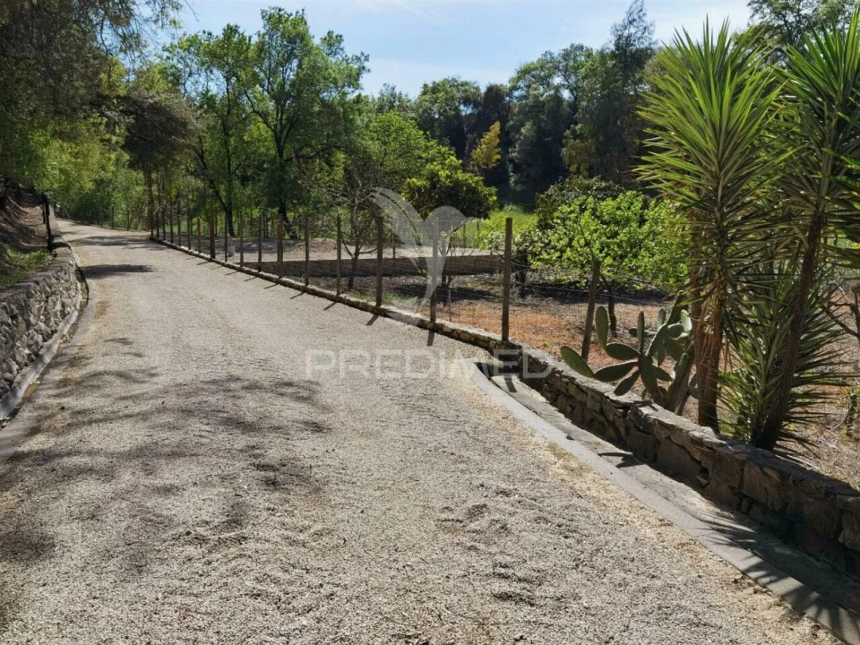 Quinta T2 para Venda em Achete, Azoia de Baixo e Póvoa de Santarém Foto 30