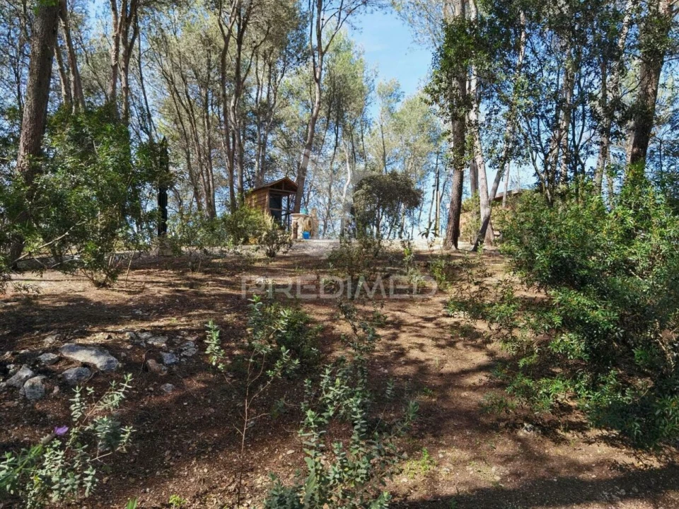 Quinta T2 para Venda em Achete, Azoia de Baixo e Póvoa de Santarém Foto 23