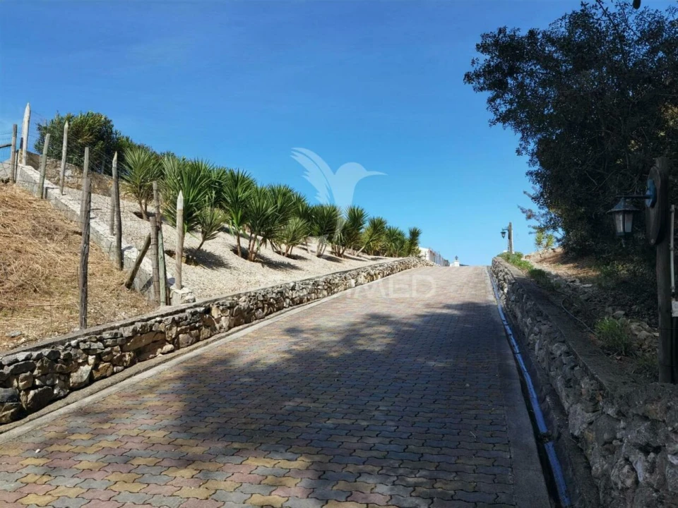 Quinta T2 para Venda em Achete, Azoia de Baixo e Póvoa de Santarém Foto 33