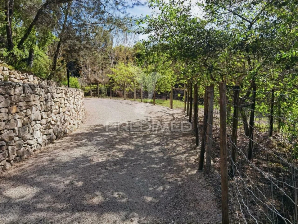 Quinta T2 para Venda em Achete, Azoia de Baixo e Póvoa de Santarém Foto 27