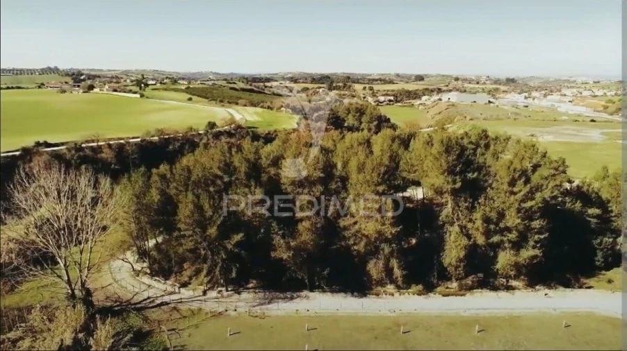 Quinta T2 para Venda em Achete, Azoia de Baixo e Póvoa de Santarém Foto 40