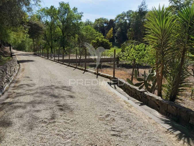 Quinta T2 para Venda em Achete, Azoia de Baixo e Póvoa de Santarém Foto 30