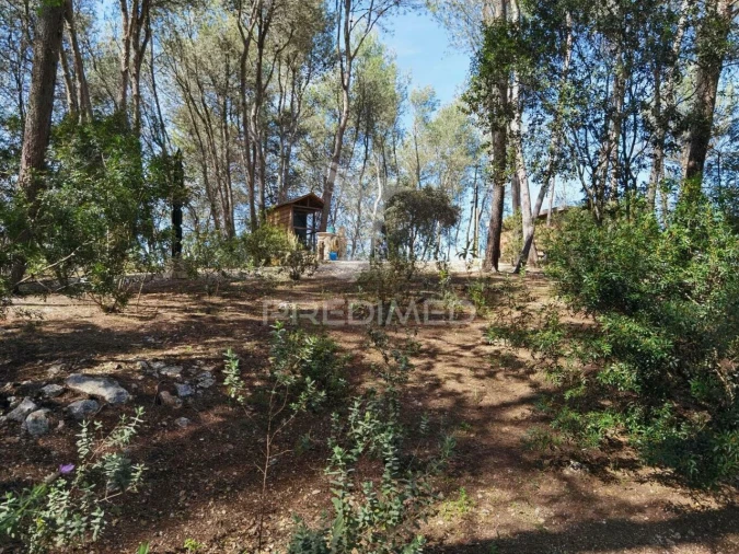 Quinta T2 para Venda em Achete, Azoia de Baixo e Póvoa de Santarém Foto 23