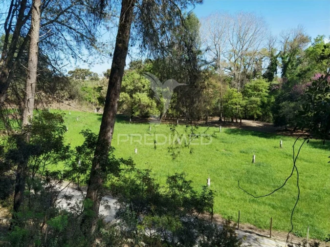 Quinta T2 para Venda em Achete, Azoia de Baixo e Póvoa de Santarém Foto 22