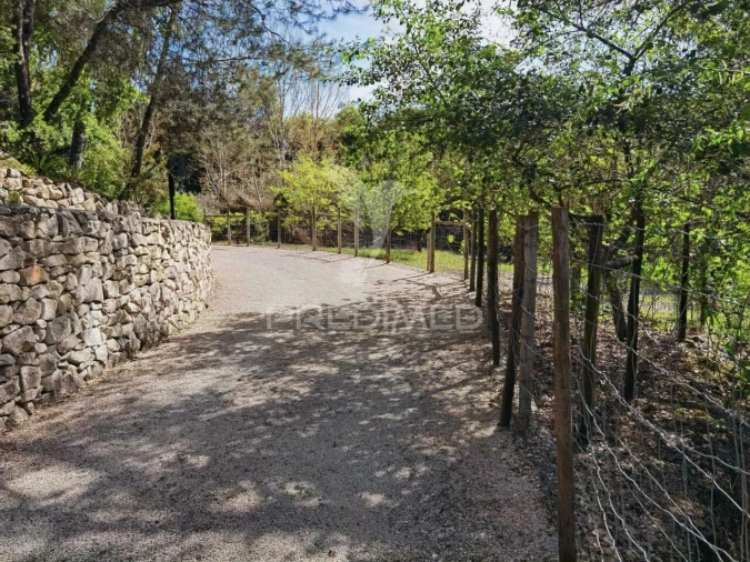 Quinta T2 para Venda em Achete, Azoia de Baixo e Póvoa de Santarém Foto 27