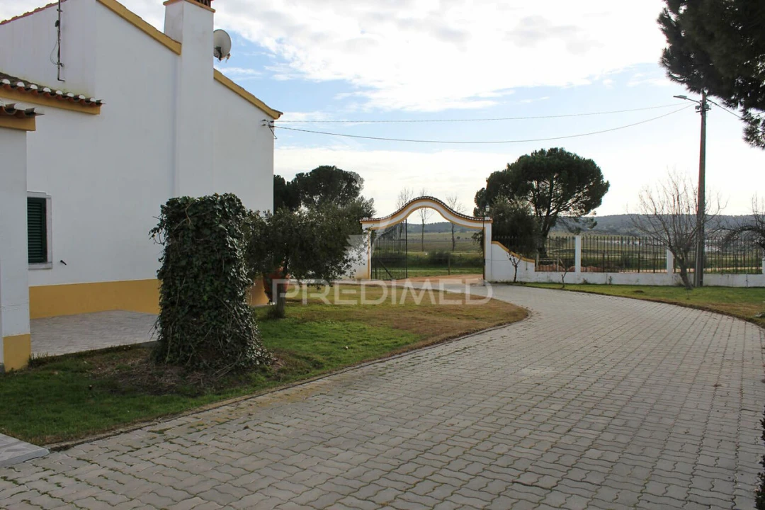 Quinta T8 para Venda em Santo Aleixo Foto 2