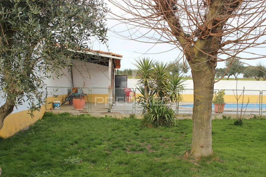 Quinta T8 para Venda em Santo Aleixo Foto 7