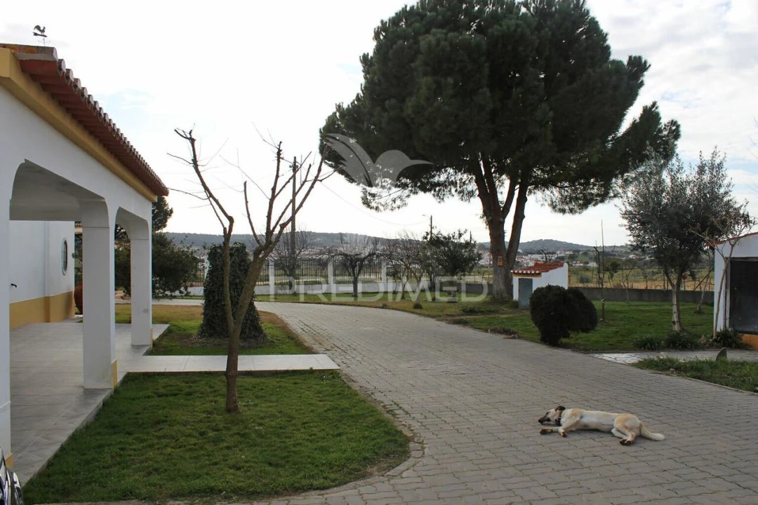 Quinta T8 para Venda em Santo Aleixo Foto 4