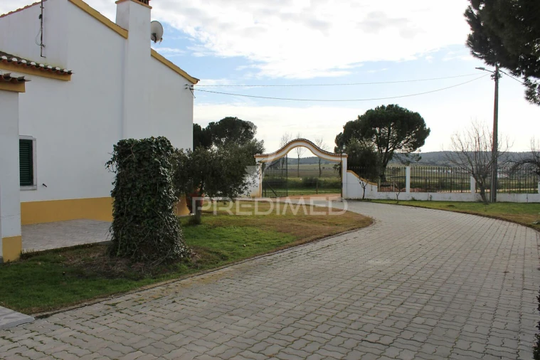 Quinta T8 para Venda em Santo Aleixo Foto 2