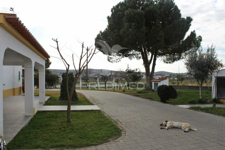 Quinta T8 para Venda em Santo Aleixo Foto 4