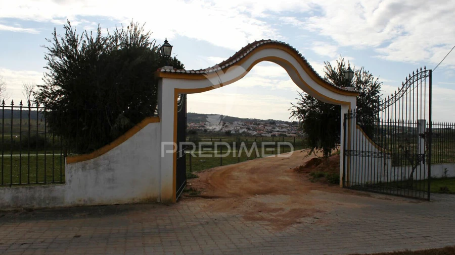 Quinta T8 para Venda em Santo Aleixo