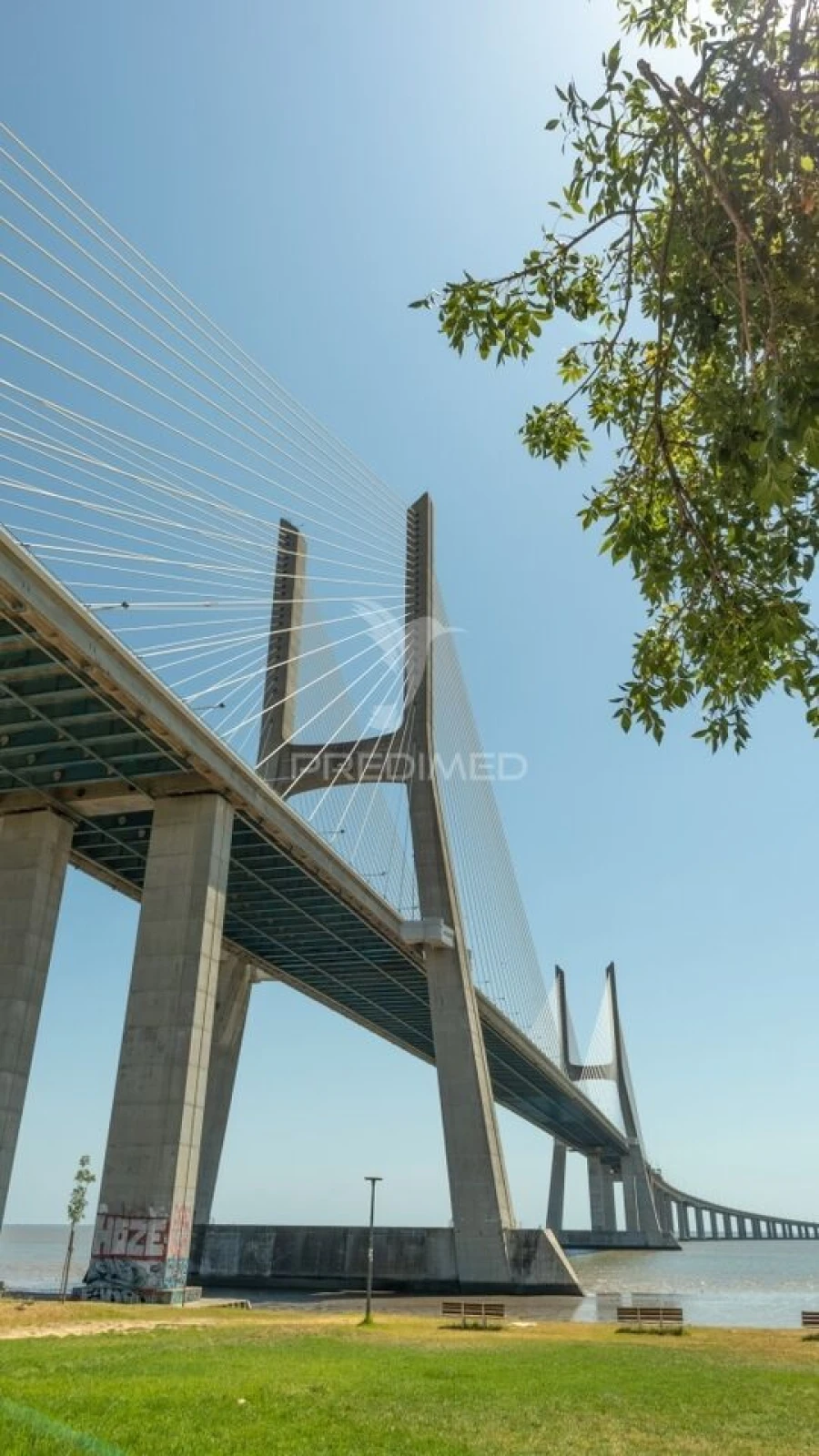 Loja para Venda em Parque das Nações Foto 3