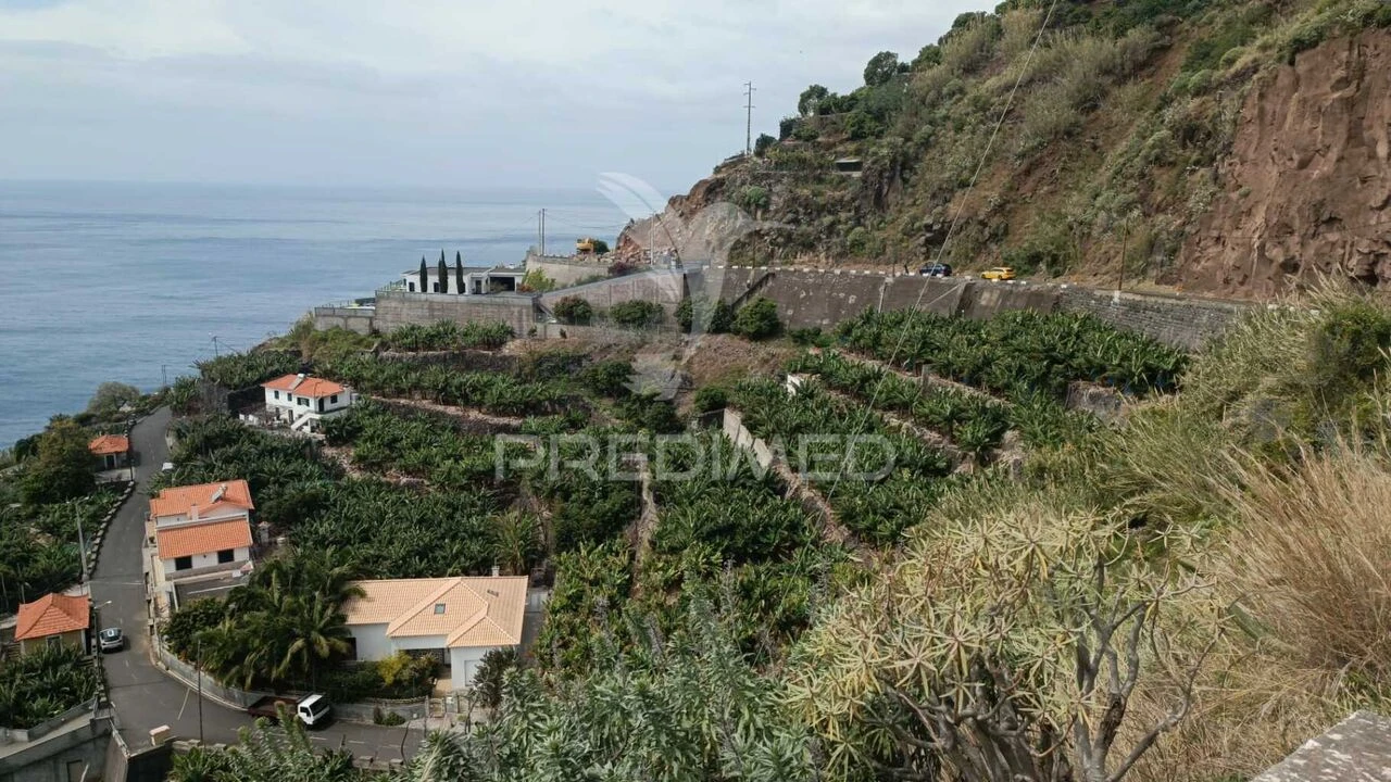 Terreno para Venda em Arco da Calheta Foto 10