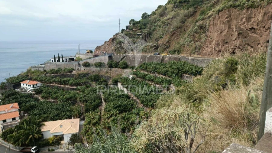 Terreno para Venda em Arco da Calheta Foto 13