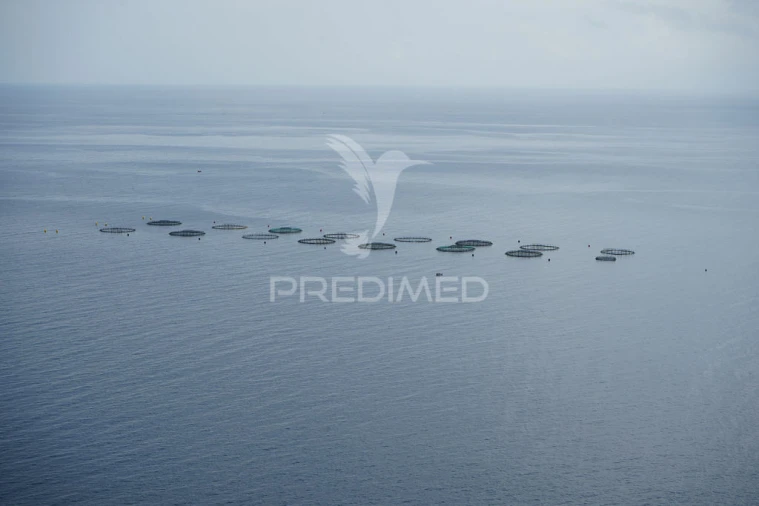 Terreno para Venda em Arco da Calheta Foto 8