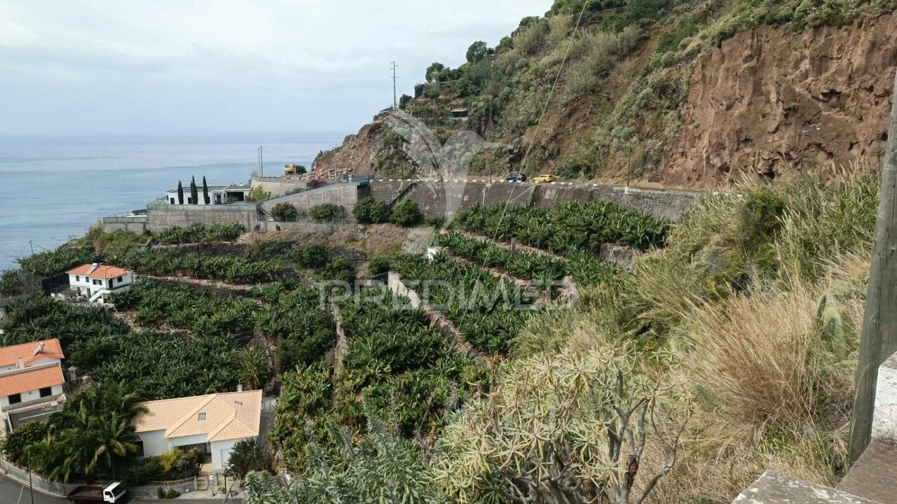 Terreno para Venda em Arco da Calheta Foto 11