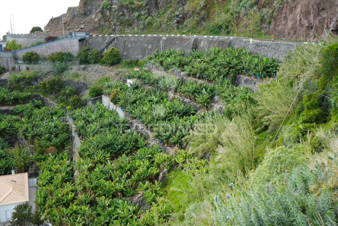 Terreno para Venda em Arco da Calheta Foto 1