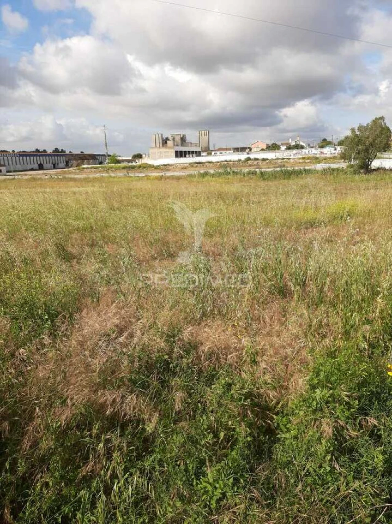 Terreno para Venda em Vila Chã de Ourique Foto 1