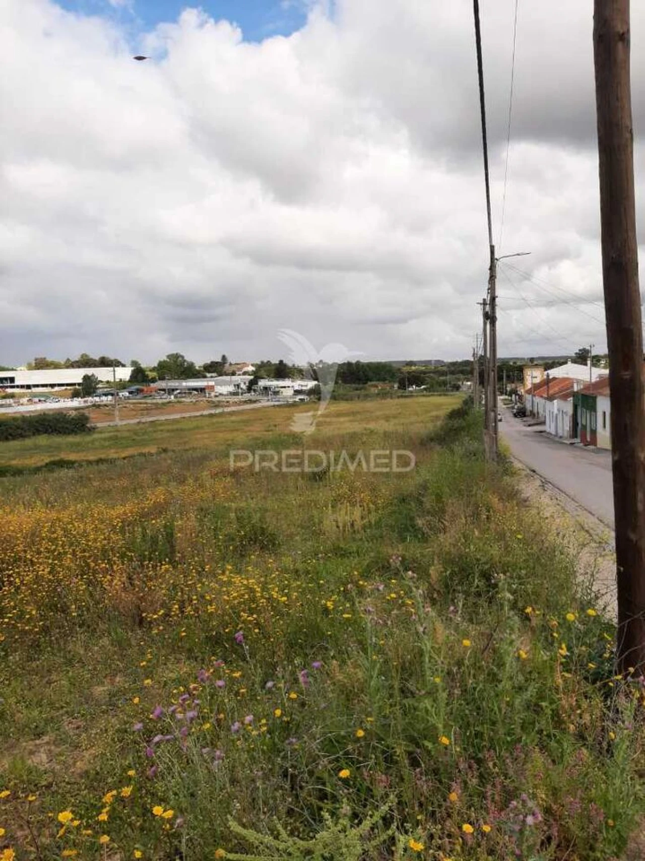 Terreno para Venda em Vila Chã de Ourique Foto 15