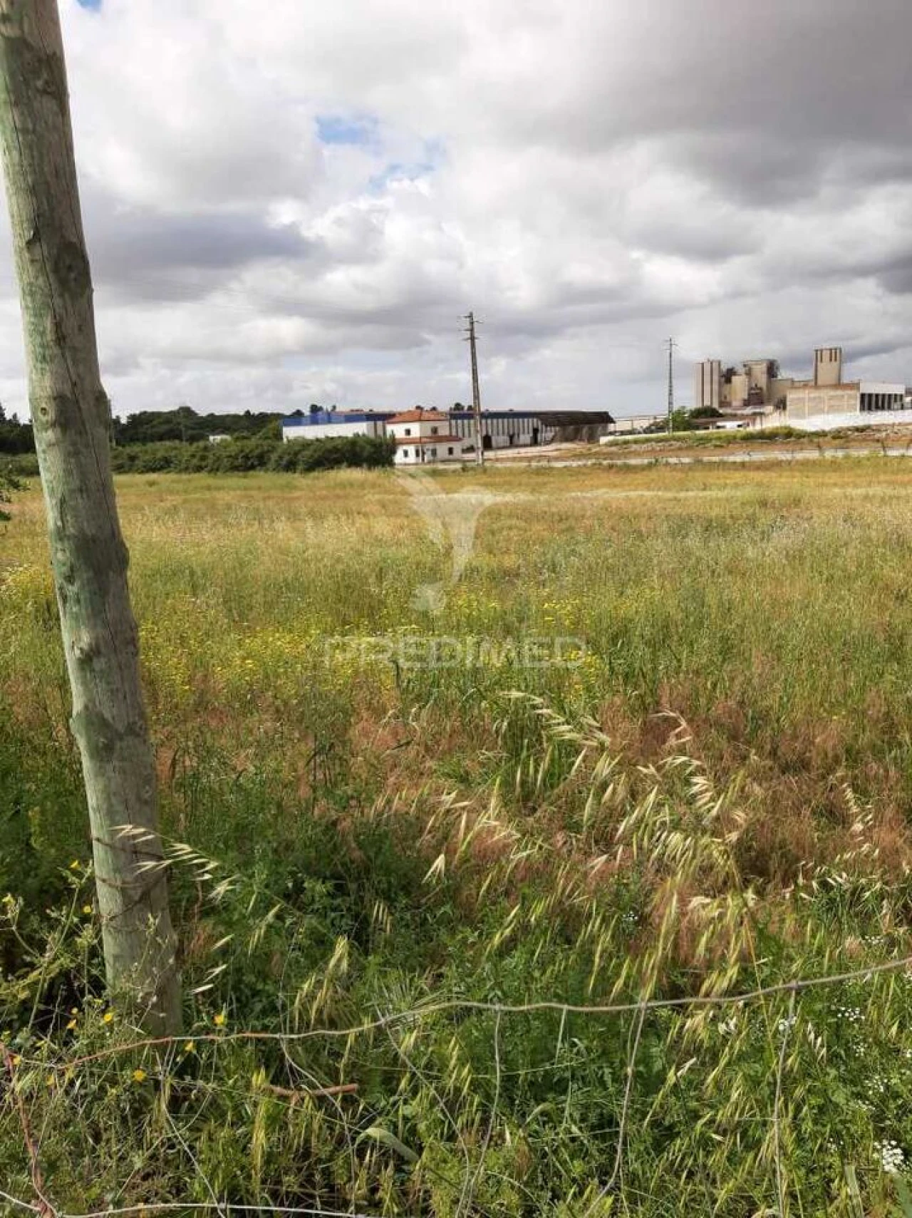 Terreno para Venda em Vila Chã de Ourique Foto 22